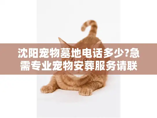 沈阳宠物墓地电话多少?急需专业宠物安葬服务请联系我们