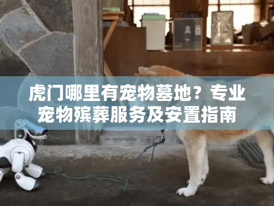 虎门哪里有宠物墓地？专业宠物殡葬服务及安置指南
