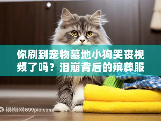 你刷到宠物墓地小狗哭丧视频了吗？泪崩背后的殡葬服务真相揭秘
