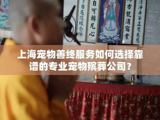 上海宠物善终服务如何选择靠谱的专业宠物殡葬公司？
