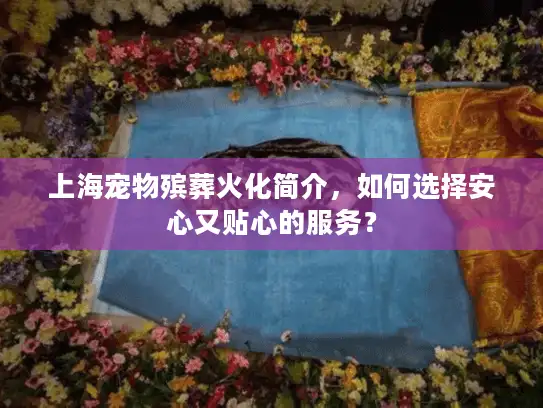 上海宠物殡葬火化简介，如何选择安心又贴心的服务？