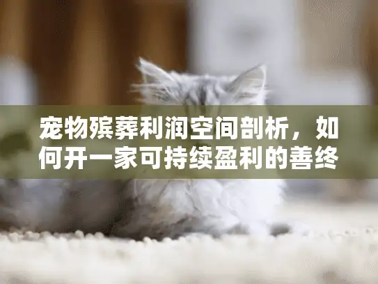 宠物殡葬利润空间剖析，如何开一家可持续盈利的善终服务机构？