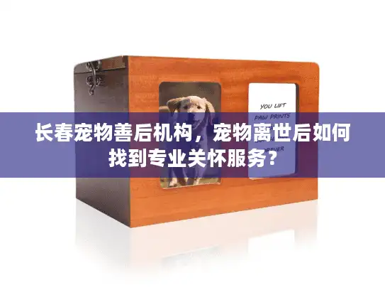 长春宠物善后机构，宠物离世后如何找到专业关怀服务？
