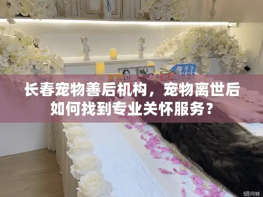 长春宠物善后机构，宠物离世后如何找到专业关怀服务？