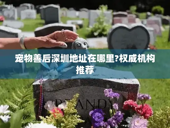 宠物善后深圳地址在哪里?权威机构推荐