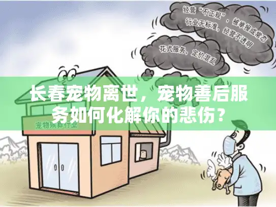 长春宠物离世，宠物善后服务如何化解你的悲伤？