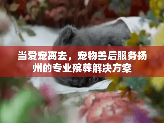 当爱宠离去，宠物善后服务扬州的专业殡葬解决方案