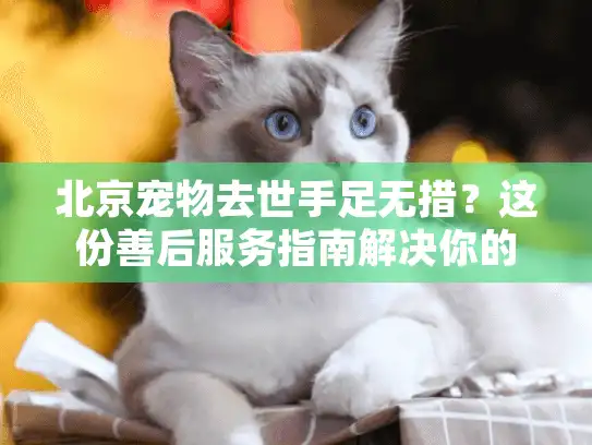 北京宠物去世手足无措？这份善后服务指南解决你的所有困惑
