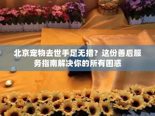 北京宠物去世手足无措？这份善后服务指南解决你的所有困惑