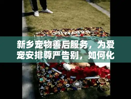 新乡宠物善后服务，为爱宠安排尊严告别，如何化解悲伤？
