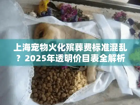 上海宠物火化殡葬费标准混乱？2025年透明价目表全解析