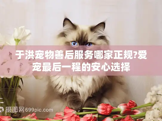 于洪宠物善后服务哪家正规?爱宠最后一程的安心选择