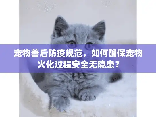 宠物善后防疫规范，如何确保宠物火化过程安全无隐患？