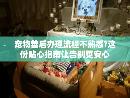 宠物善后办理流程不熟悉?这份贴心指南让告别更安心