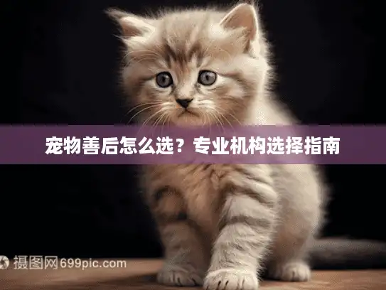 宠物善后怎么选？专业机构选择指南