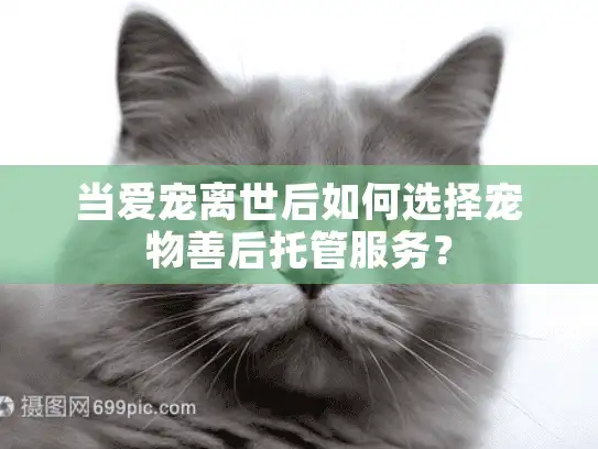 当爱宠离世后如何选择宠物善后托管服务？