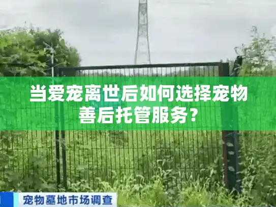 当爱宠离世后如何选择宠物善后托管服务？
