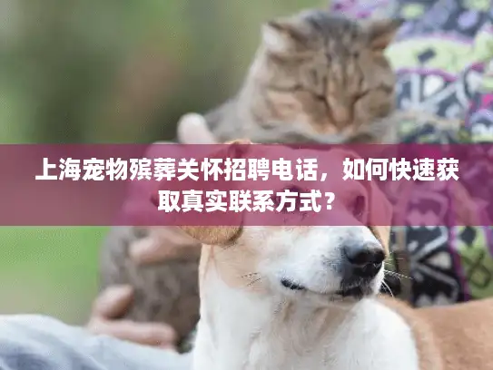 上海宠物殡葬关怀招聘电话，如何快速获取真实联系方式？