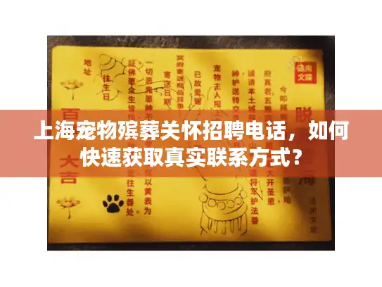 上海宠物殡葬关怀招聘电话，如何快速获取真实联系方式？
