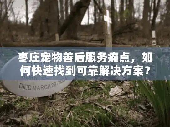 枣庄宠物善后服务痛点，如何快速找到可靠解决方案？