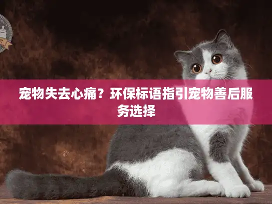 宠物失去心痛？环保标语指引宠物善后服务选择
