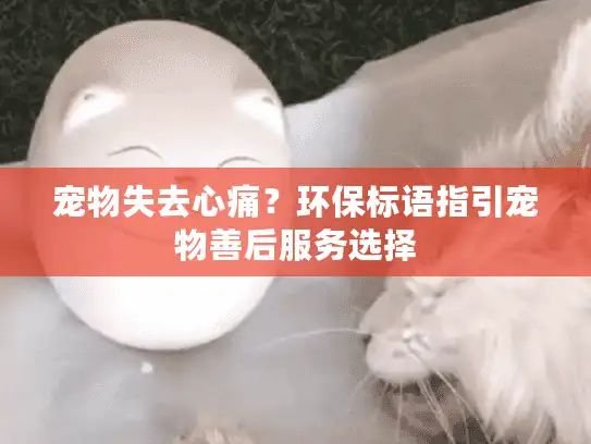 宠物失去心痛？环保标语指引宠物善后服务选择