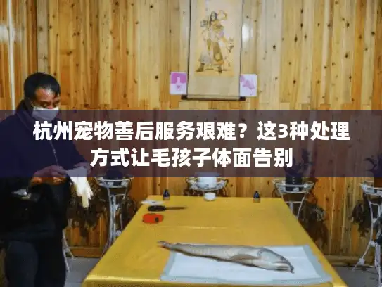 杭州宠物善后服务艰难？这3种处理方式让毛孩子体面告别