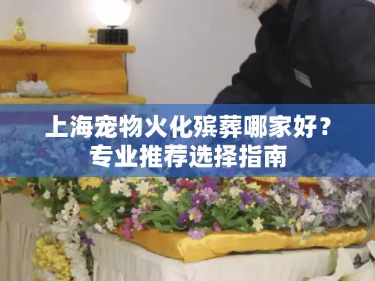 上海宠物火化殡葬哪家好？专业推荐选择指南