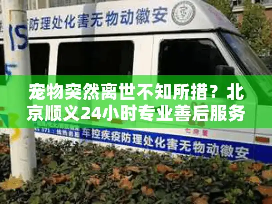 宠物突然离世不知所措？北京顺义24小时专业善后服务这样帮您