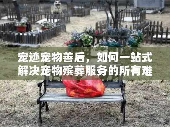 宠迹宠物善后，如何一站式解决宠物殡葬服务的所有难题？