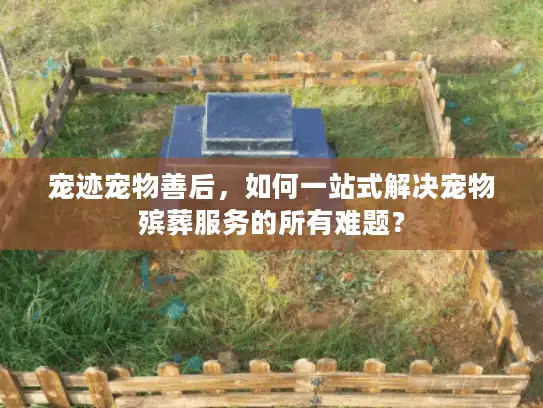 宠迹宠物善后，如何一站式解决宠物殡葬服务的所有难题？