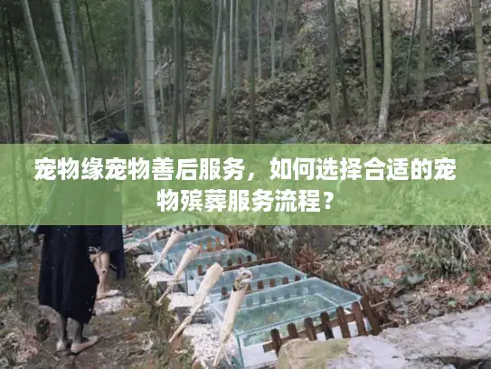 宠物缘宠物善后服务，如何选择合适的宠物殡葬服务流程？