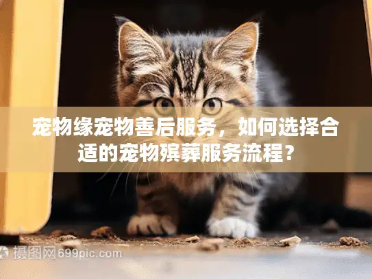 宠物缘宠物善后服务，如何选择合适的宠物殡葬服务流程？