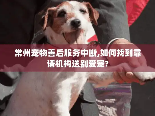 常州宠物善后服务中断,如何找到靠谱机构送别爱宠?