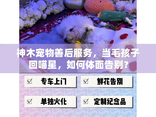 神木宠物善后服务，当毛孩子回喵星，如何体面告别？