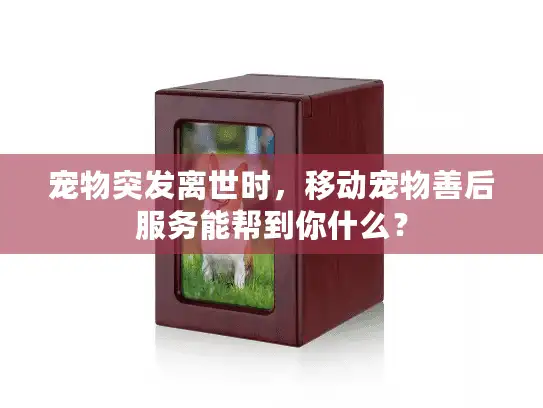 宠物突发离世时，移动宠物善后服务能帮到你什么？