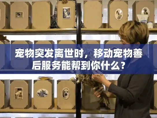 宠物突发离世时，移动宠物善后服务能帮到你什么？