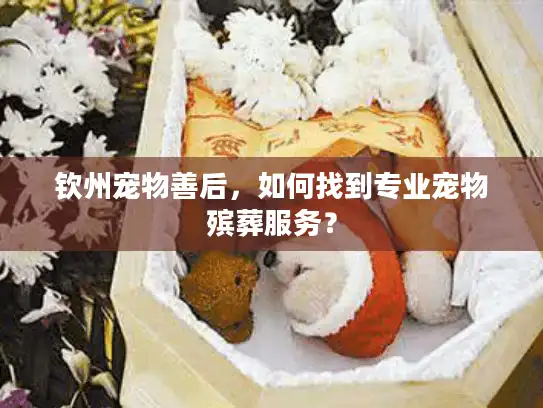 钦州宠物善后，如何找到专业宠物殡葬服务？