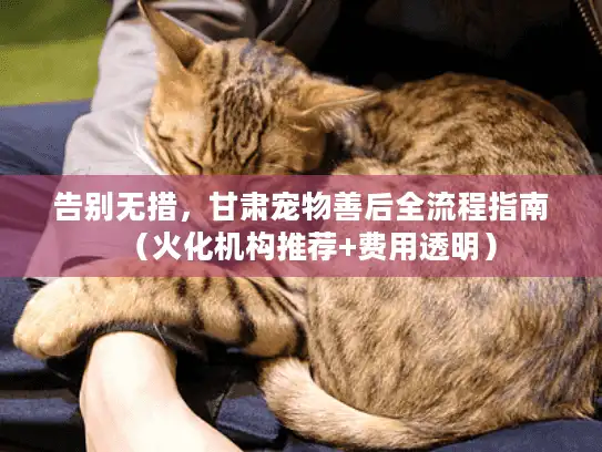 告别无措，甘肃宠物善后全流程指南（火化机构推荐+费用透明）