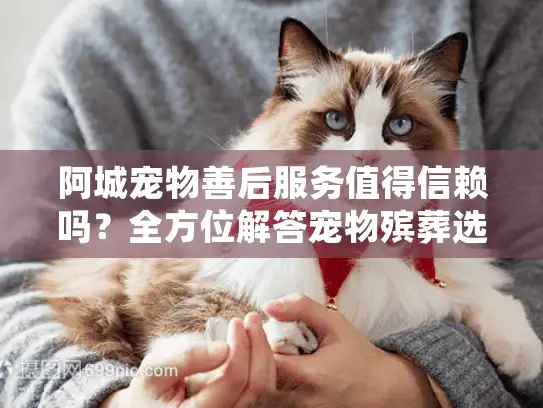 阿城宠物善后服务值得信赖吗？全方位解答宠物殡葬选择难题