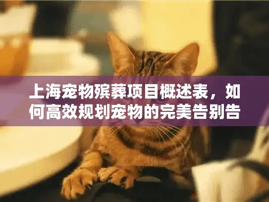 上海宠物殡葬项目概述表，如何高效规划宠物的完美告别告别方案？