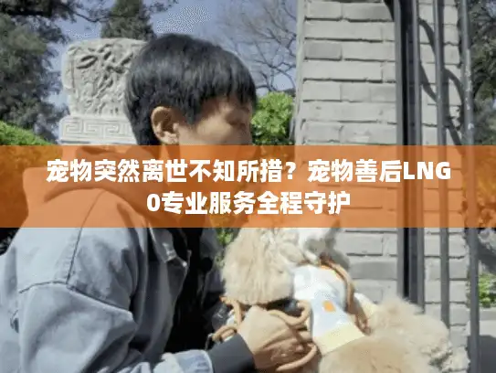 宠物突然离世不知所措？宠物善后LNG0专业服务全程守护