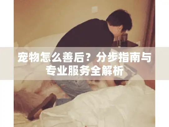 宠物怎么善后？分步指南与专业服务全解析