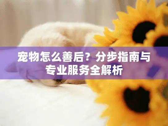 宠物怎么善后？分步指南与专业服务全解析