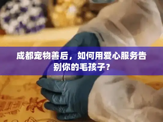 成都宠物善后，如何用爱心服务告别你的毛孩子？