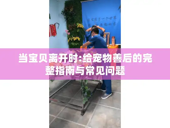 当宝贝离开时:给宠物善后的完整指南与常见问题