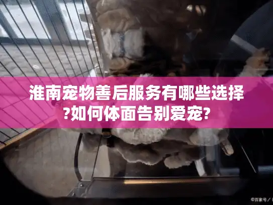 淮南宠物善后服务有哪些选择?如何体面告别爱宠?