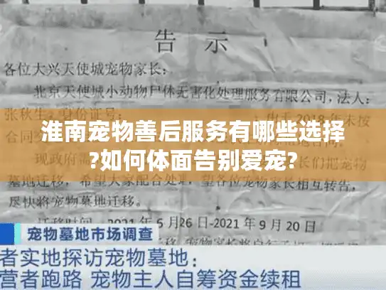 淮南宠物善后服务有哪些选择?如何体面告别爱宠?