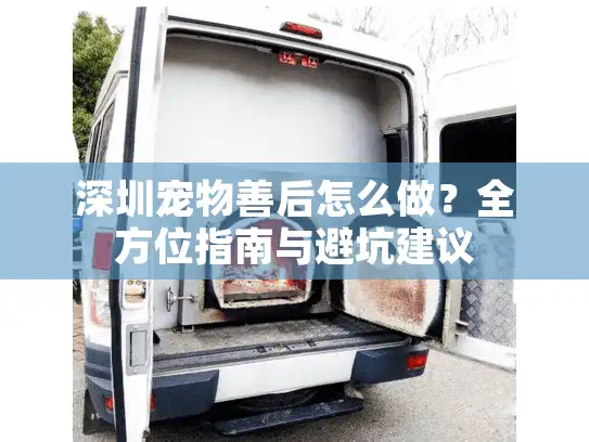 深圳宠物善后怎么做？全方位指南与避坑建议