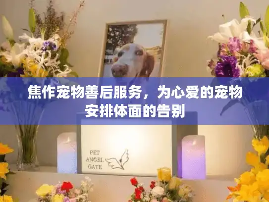 焦作宠物善后服务，为心爱的宠物安排体面的告别